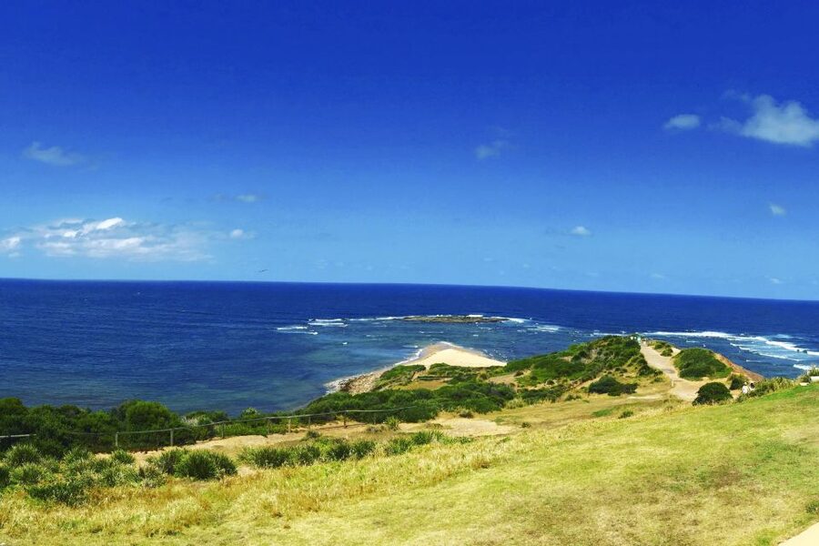 Sydney: Northern Beaches and Ku-ring-gai National Park Tour - Should you book Go Beyond Tours for Northern Beaches and Ku-ring-gai Chase?