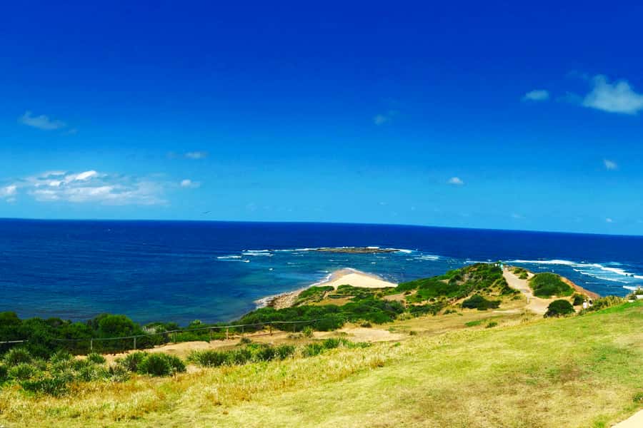 Sydney: Northern Beaches and Ku-ring-gai National Park Tour - Curl Curl coastal walk and Freshwater Beach surf origins