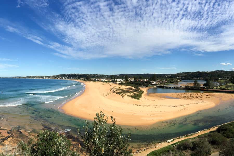Sydney: Northern Beaches and Ku-ring-gai National Park Tour - Price and value for a $300, 7-hour small-group day