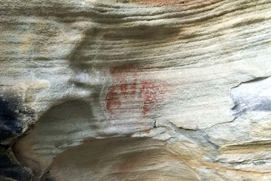 Sydney: Northern Beaches and Ku-ring-gai National Park Tour - Best match: who should book this Northern Beaches and Ku-ring-gai day