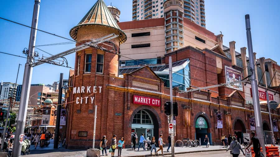 Sydney Private & Custom Walking Experience with a Local - What you can expect to see, harbors, bridge options, and Botanic Gardens