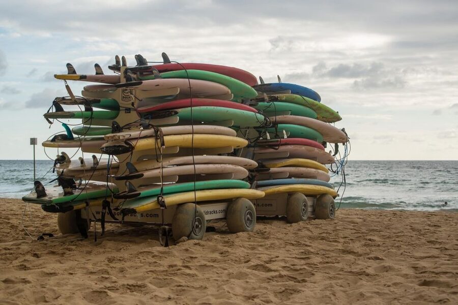 Sydney Private & Custom Walking Experience with a Local - Value check: what you pay $68 for