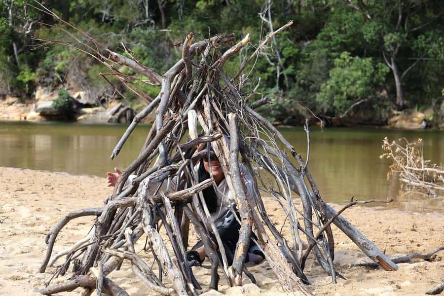Sydney: Royal National Park private day tour - Key Things You’ll Actually Remember