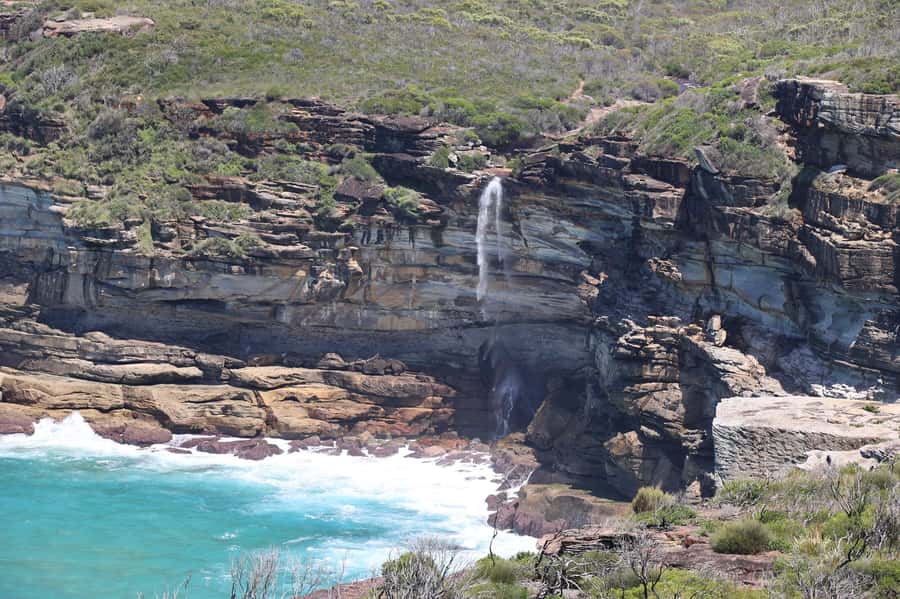 Sydney: Royal National Park private day tour - Eagle Rock vs Wedding Cake Rock: Pick Your Walk, Keep Your Views