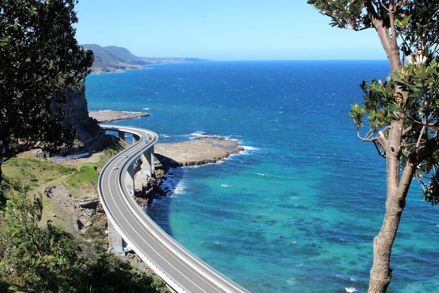 Sydney: Royal National Park private day tour - Lunch at the Right Time, Then a Rainforest Drive Through the Park