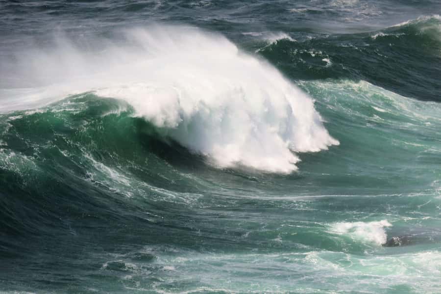 Sydney: Royal National Park private day tour - Price and Value: Is $368 Per Person Fair?