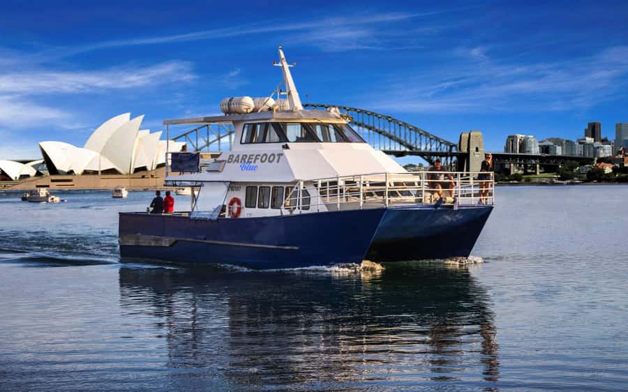 Sydney: Scenic Whale Watching Cruise - Whales Guaranteed - FAQ