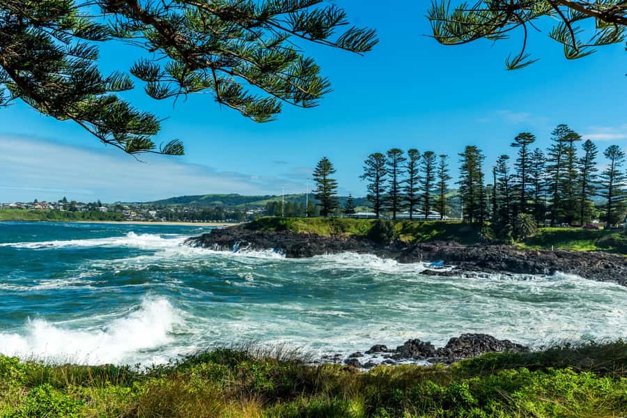Sydney: Sea Cliff Bridge, Kiama Blowhole and Farmlands Tour - Who This Tour Fits Best (and Who Should Skip It)