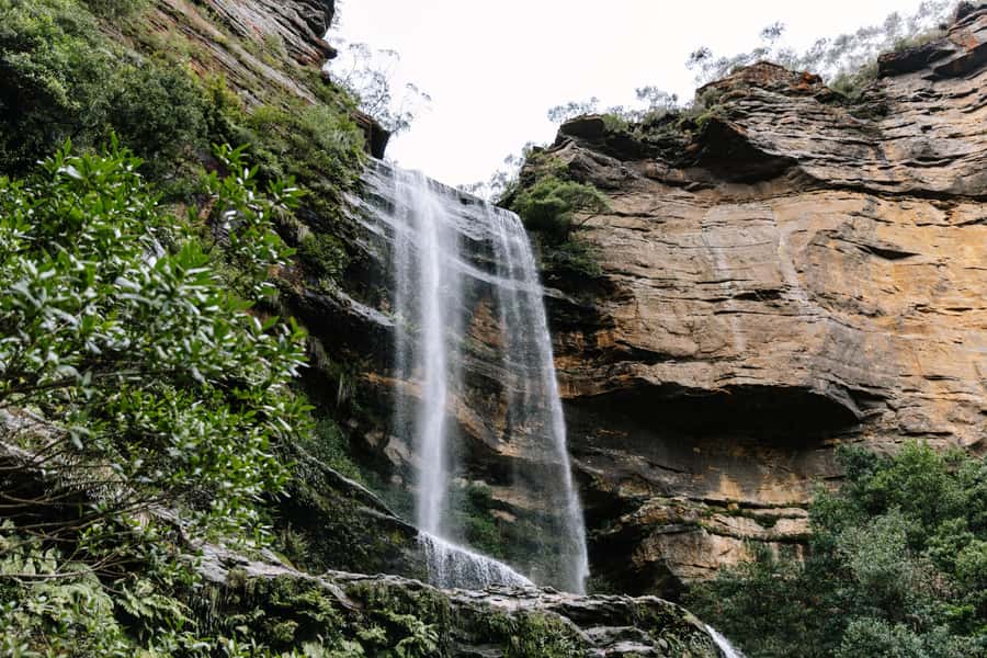 Sydney: Small Group Blue Mountains, Wildlife & Waterfalls - Quick hits you can plan around