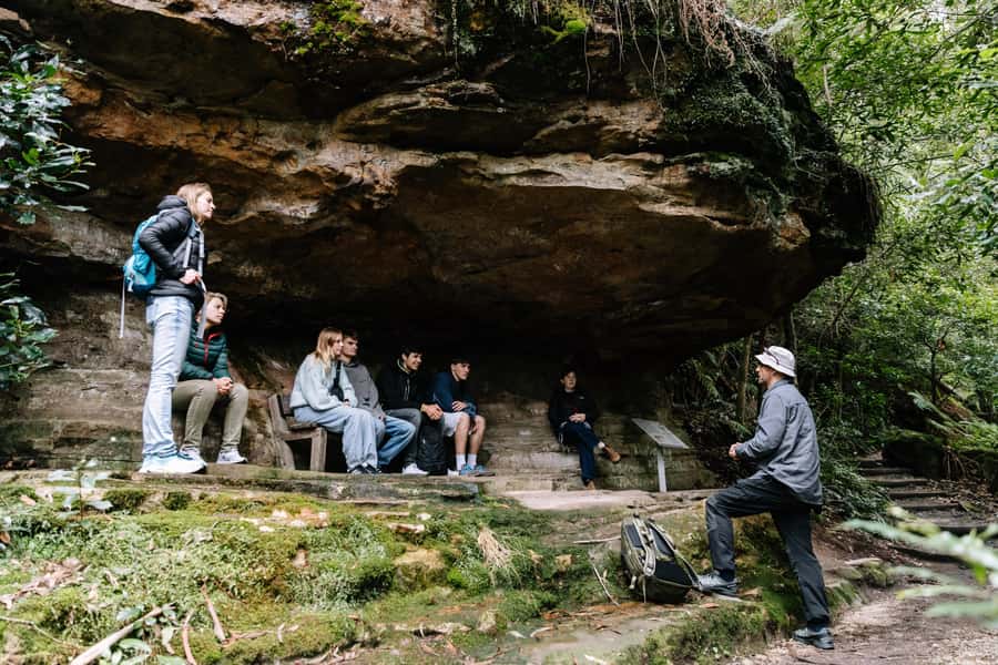Sydney: Small Group Blue Mountains, Wildlife & Waterfalls - Aboriginal culture, plants, and the stories behind the rocks