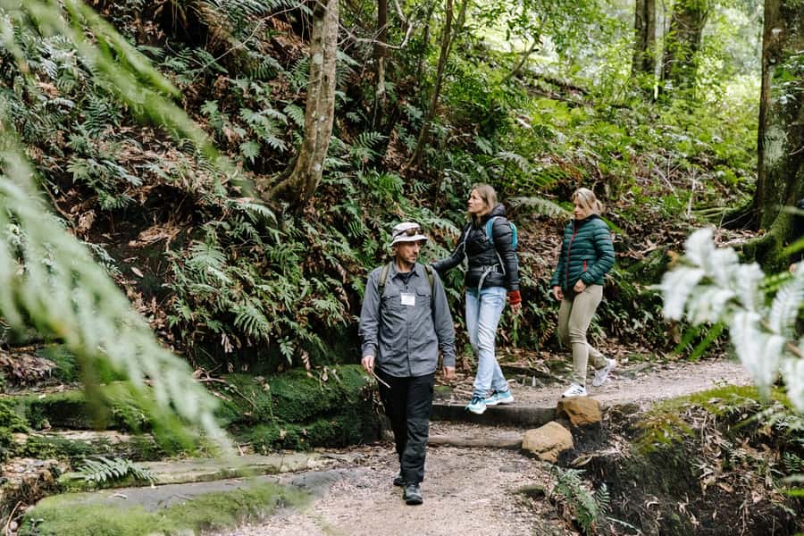 Sydney: Small Group Blue Mountains, Wildlife & Waterfalls - Ride into the Blue Mountains: Three Sisters plus viewpoint photo stops