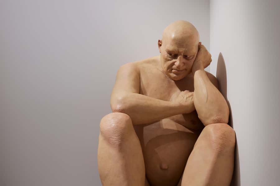 Sydney Summer Art Exhibitions Art Gallery of New South Wales - Bundling with an Australian Art Stories Tour and a Lunch Stop