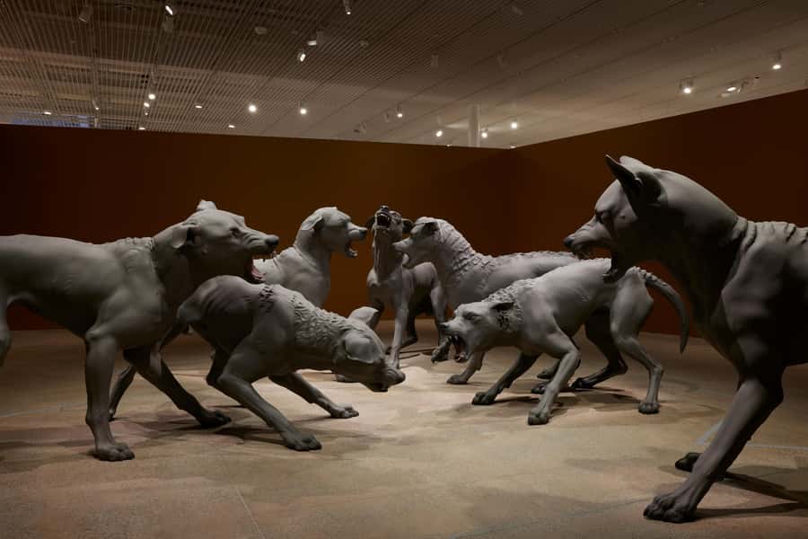 Sydney Summer Art Exhibitions Art Gallery of New South Wales - Accessibility at the Gallery, What That Means for Your Visit