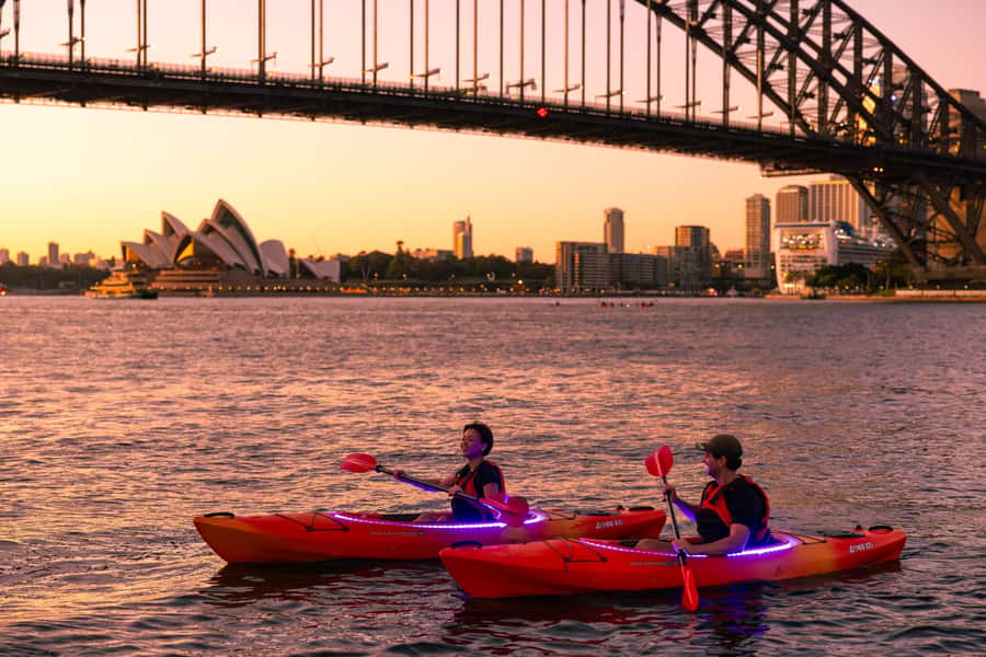 Sydney: Sunrise Kayak, Opera House & Under Harbour Bridge - 1.5 Hours on Sydney Harbour: LED Kayaks, Photo Stops, and Dolphin Time