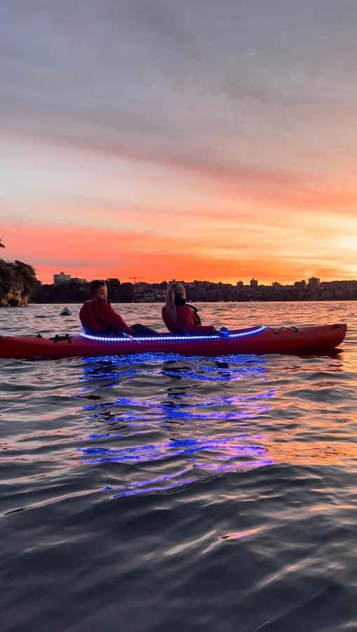 Sydney: Sunrise Kayak, Opera House & Under Harbour Bridge - The Harbour Bridge Photo Stop You Came For