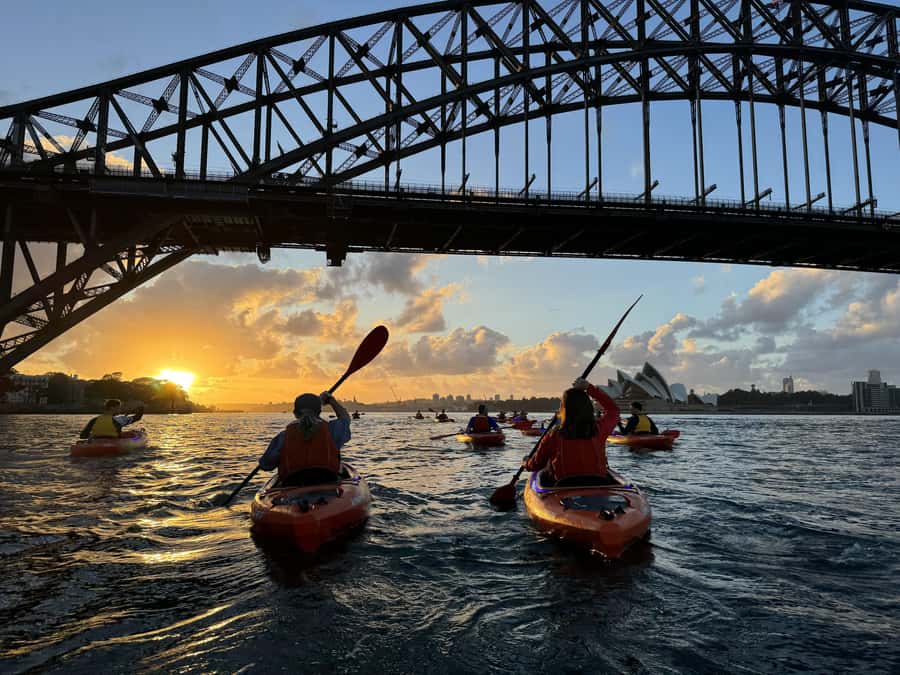 Sydney: Sunrise Kayak, Opera House & Under Harbour Bridge - Breakfast at Flying Bear: The Best Part After You Finish Paddling