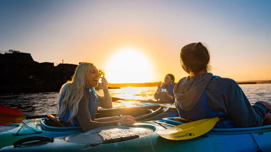 Sydney Sunrise Kayak Tour on Sydney Harbour - Guide energy, and why Chad and Pete are part of the reason people love it