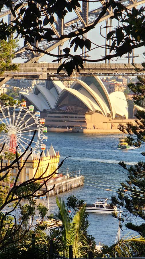Sydney: Sunset Kayak - Opera & Harbour Bridge Tour (5p. max) - Who should book this sunset kayak, and who should skip it