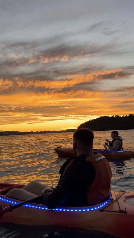 Sydney: Sunset Kayak Tour on Sydney Harbour - What you get for $105, and why it can be good value