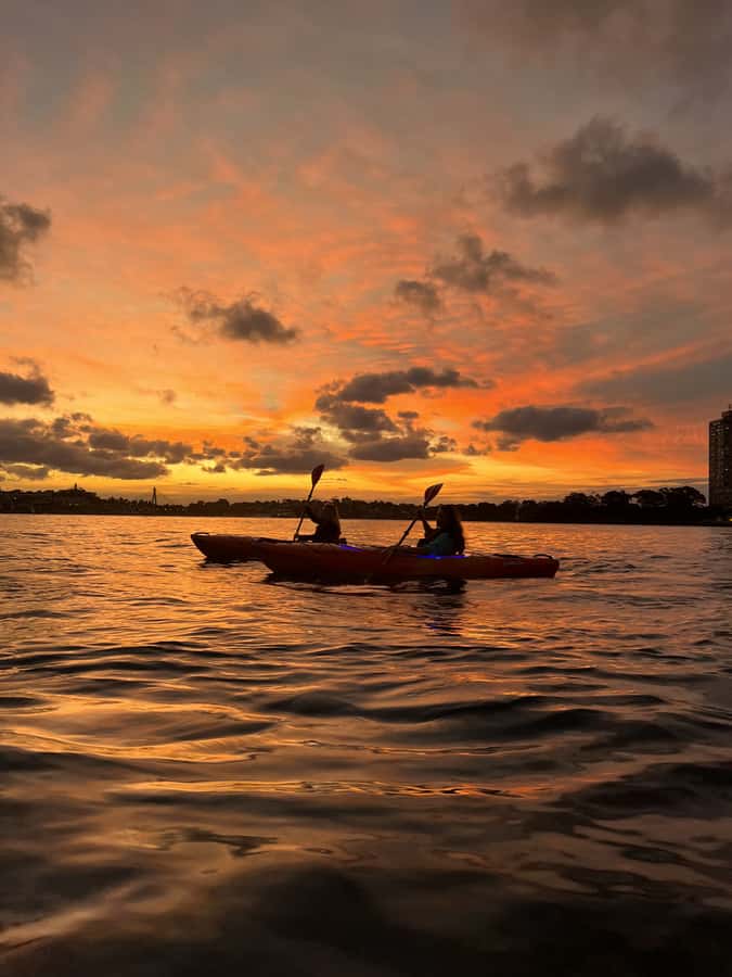 Sydney: Sunset Kayak Tour on Sydney Harbour - Weather reality: when the evening plan changes