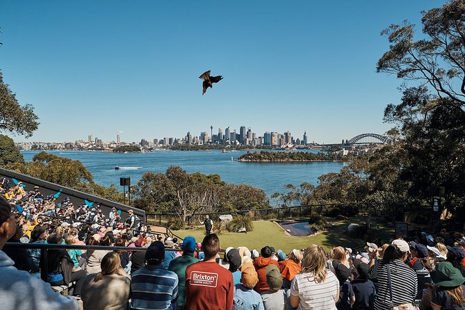 Sydney Taronga Zoo General Entry Ticket - Optional animal encounters: closer looks for extra money