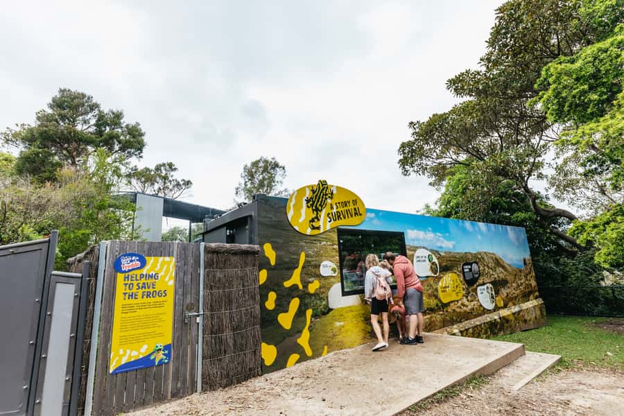 Sydney: Taronga Zoo Tickets - Family-friendly walking: Kids’ Trail, stroller needs, and pacing