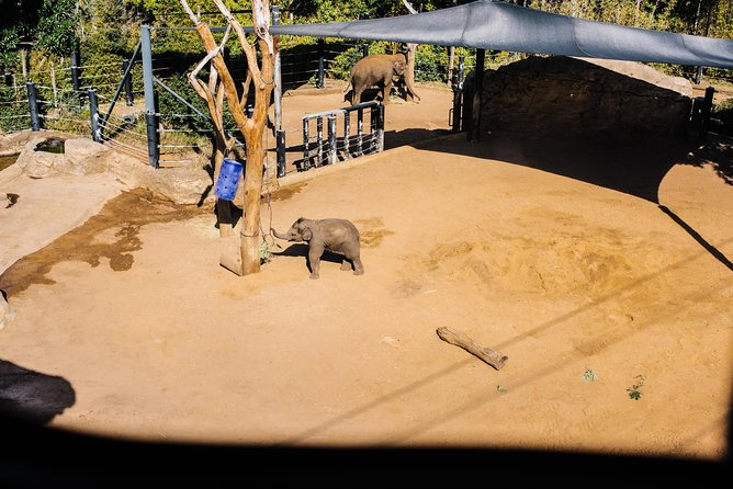Sydney Taronga Zoo Wild Australia Experience - Australian Nocturnal House: Restricted Access After Dark