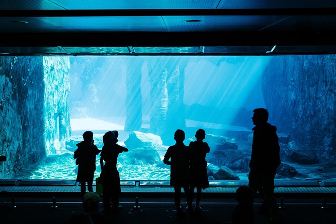 Sydney Taronga Zoo Wild Australia Experience - All-Day Taronga Zoo Pass: Turn a 2-Hour Tour Into a Full Day
