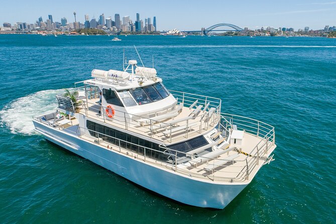Sydney: Whale Watching Adventure Cruise - Key highlights to clock before you go