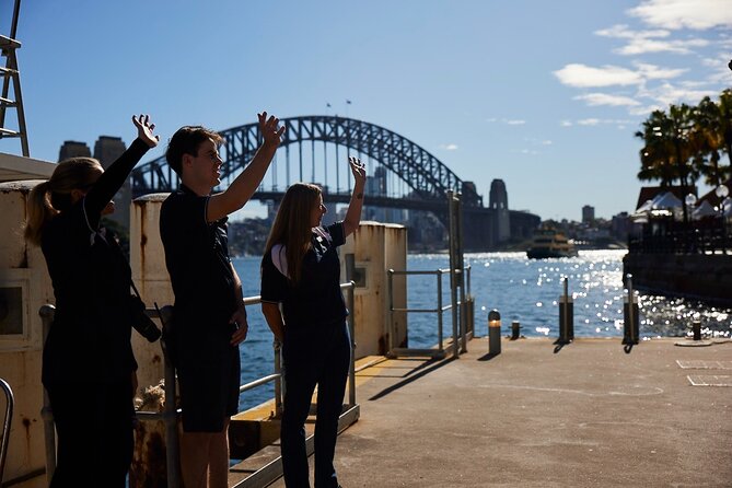 Sydney Whale-Watching Cruise Including Lunch or Breakfast - Boat Size, Deck Space, and Why Rough Water Can Hurt