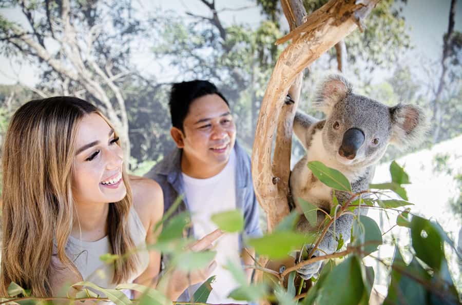 Sydney Zoo Admission Ticket - Bungarribee Dreaming: First Nations Culture Built Into the Day