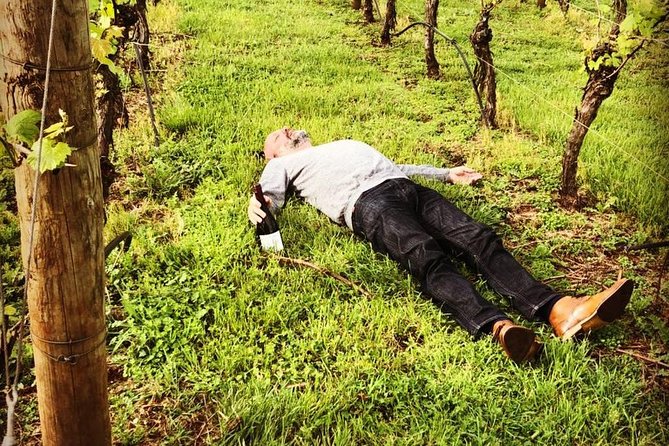 Tamar Valley Wine Tour with Lunch - Weather and what happens if plans change