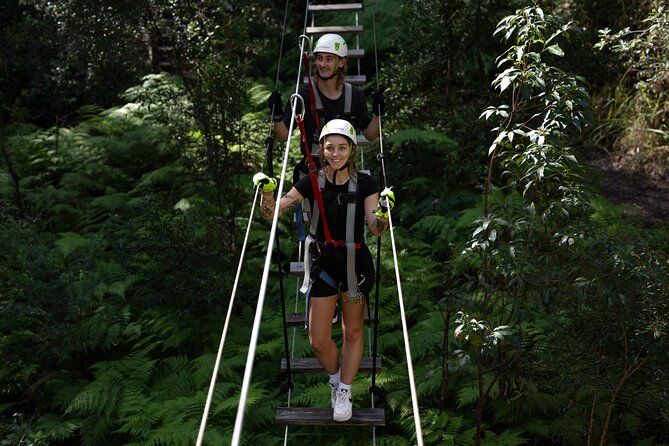 Tamborine Mountain: TreeTop Challenge Adventure Park - TreeTop Challenge on Tamborine Mountain, the ropes part and the wow factor