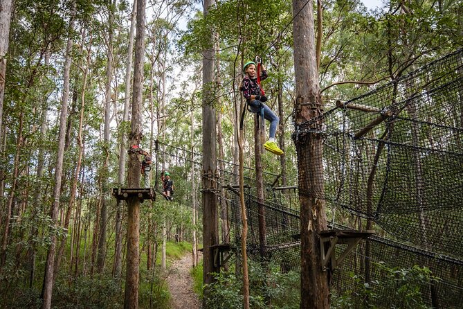 Tamborine Mountain: TreeTop Challenge Adventure Park - How the courses work, 5 levels and 8 circuits you can choose
