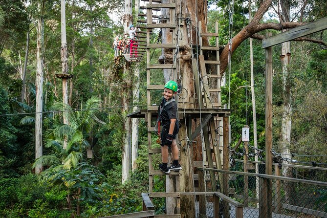 Tamborine Mountain: TreeTop Challenge Adventure Park - The Black circuit at Tamborine Mountain, what makes it the real test