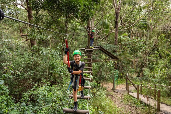 Tamborine Mountain: TreeTop Challenge Adventure Park - Safety and gear that let you focus on climbing