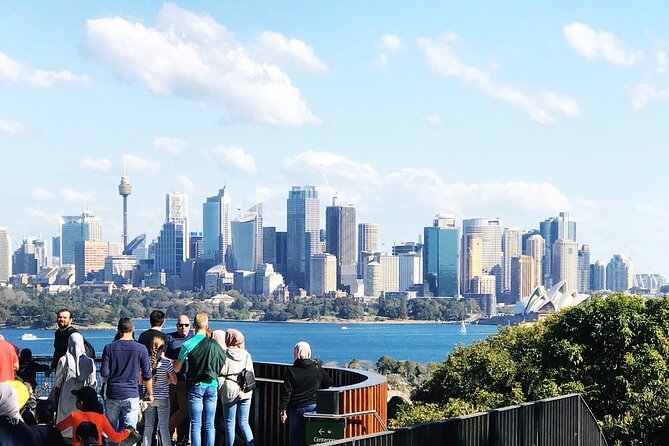 Taronga Zoo Entry & Return Ferry - Sydney Harbour - Price and Value: Is $56.66 a Smart Deal?