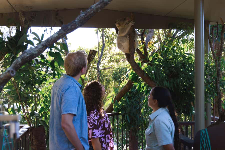 Taronga Zoo Sydney Wild Australia Experience - Key things that make this tour worth your time