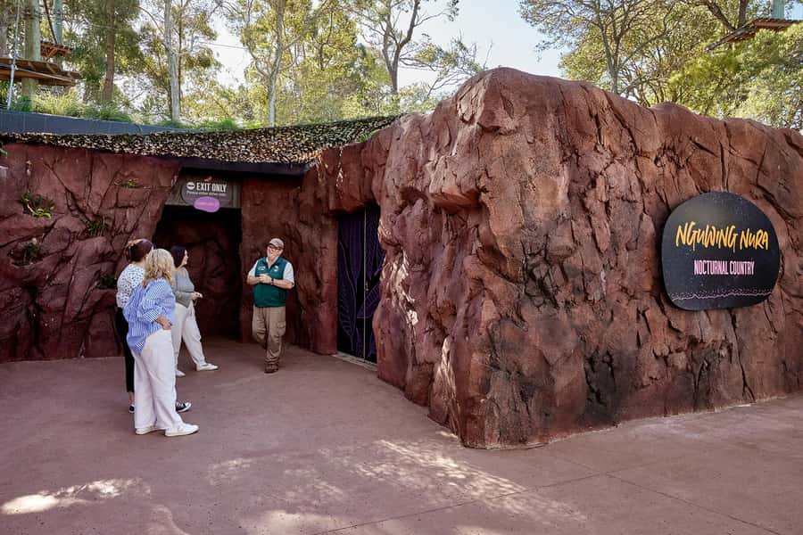 Taronga Zoo Sydney Wild Australia Experience - Platypus mysteries and unusual nocturnal species in the nocturnal house