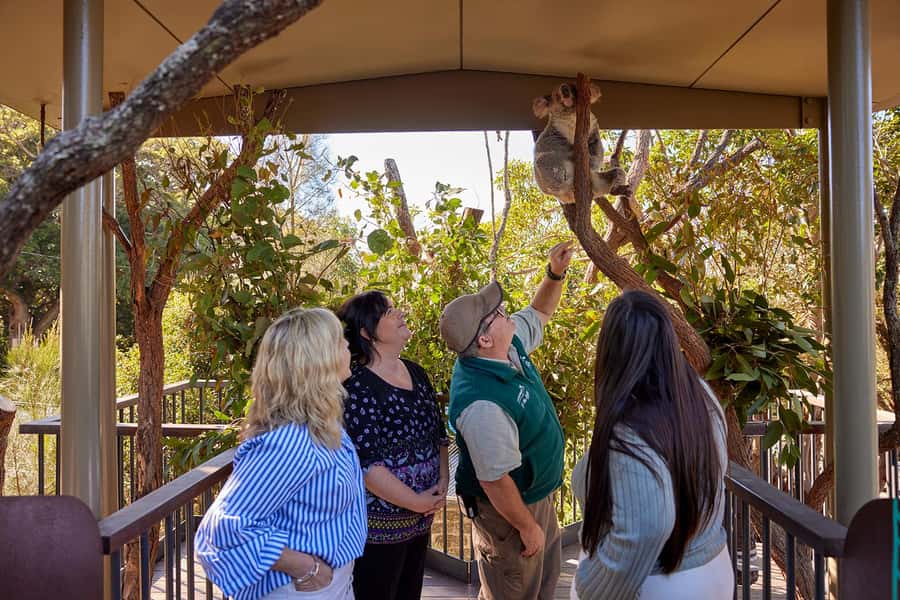 Taronga Zoo Sydney Wild Australia Experience - Who your guide might be, and why it matters