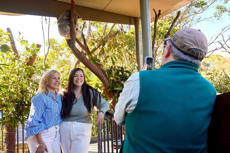 Taronga Zoo Sydney Wild Australia Experience - How to plan your day: shoes, app use, and making it easy on your body
