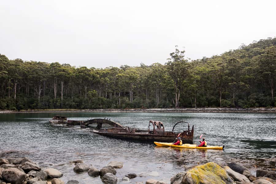 Tasman Peninsula Full-Day Sea Kayak Excursion - Hobart to Fortescue Bay: a long day that stays well paced