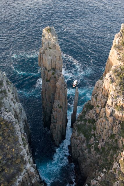 Tasman Peninsula Tour, Cruise & Port Arthur Historic Site - The 3-hour wilderness cruise: cliffs, sea caves, and serious wildlife chances