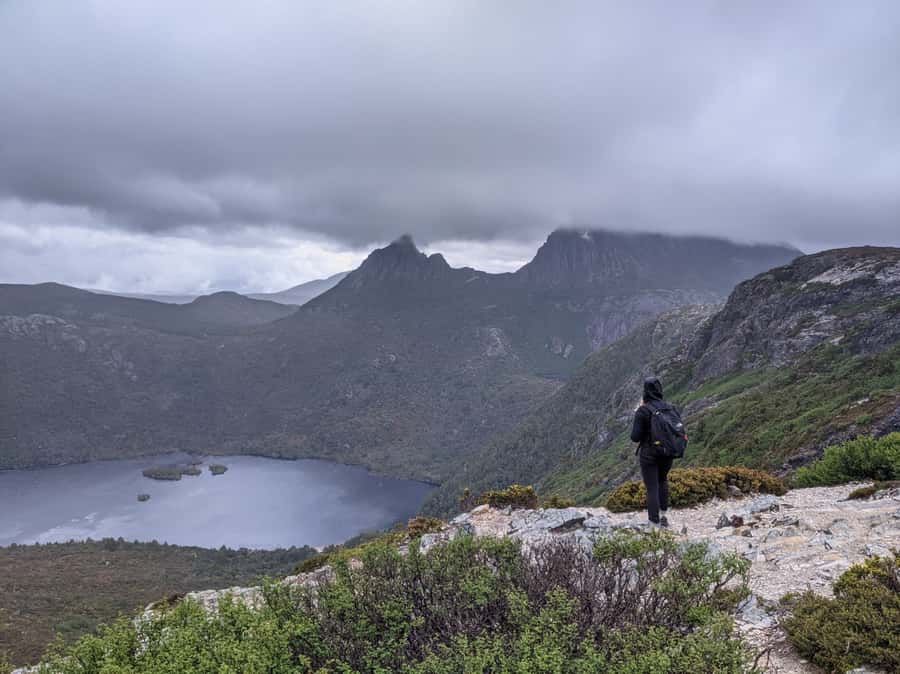 Tasmania: 7-Day West to East Tour - Key Highlights You Actually Feel On This Tour