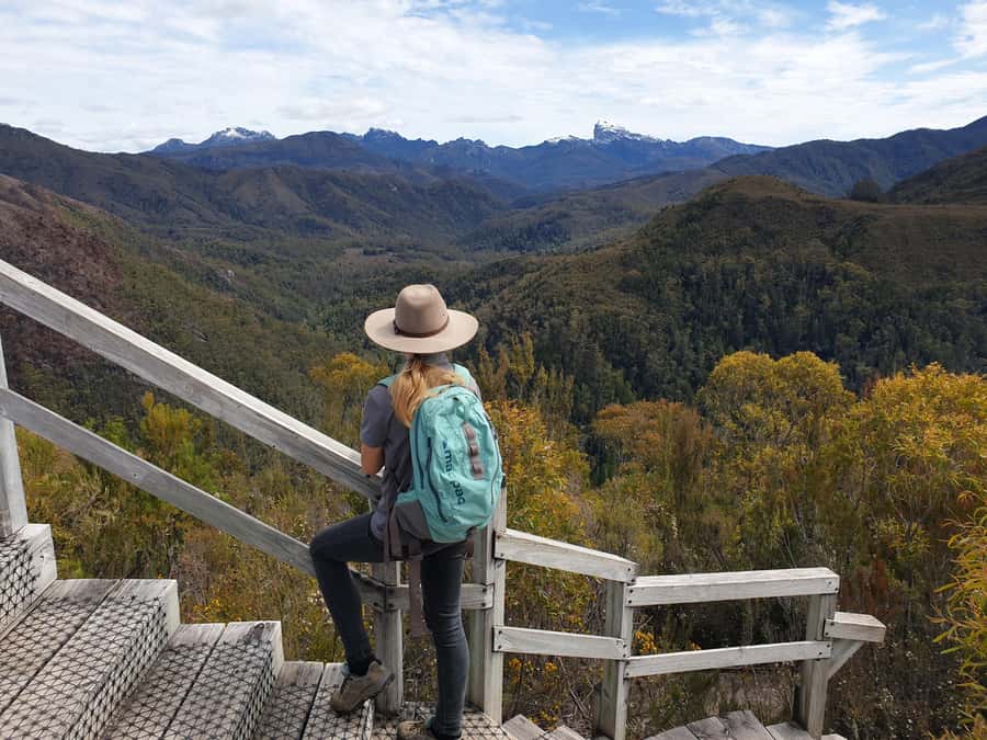 Tasmania: 7-Day West to East Tour - Day 3: Cradle Mountain to Launceston via Sheffield’s Murals