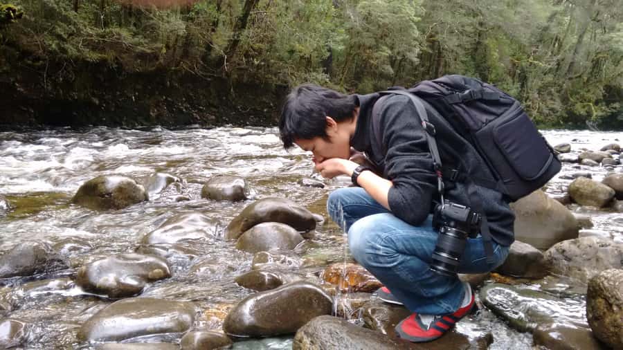 Tasmania: Wilderness and Wildlife Guided 6-Day Tour - Wildlife and local stories, powered by guides who know the terrain