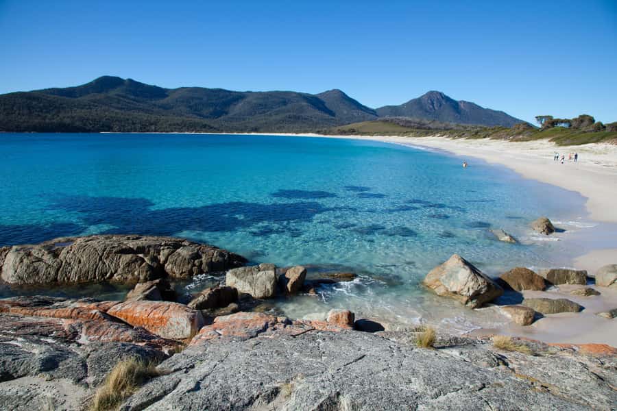 Tasmania: Wilderness and Wildlife Guided 6-Day Tour - Day 2: Henty Sand Dunes, ancient rainforest, and Ocean Beach air