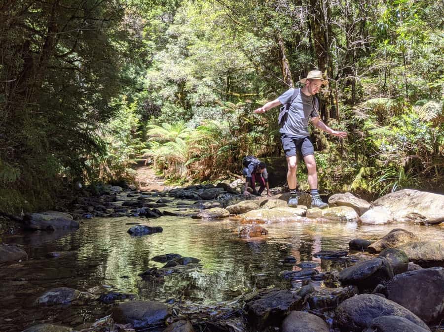 Tasmania: Wilderness and Wildlife Guided 6-Day Tour - Day 3: Cradle Mountain World Heritage, Dove Lake, and wombat spotting at Ronny Creek