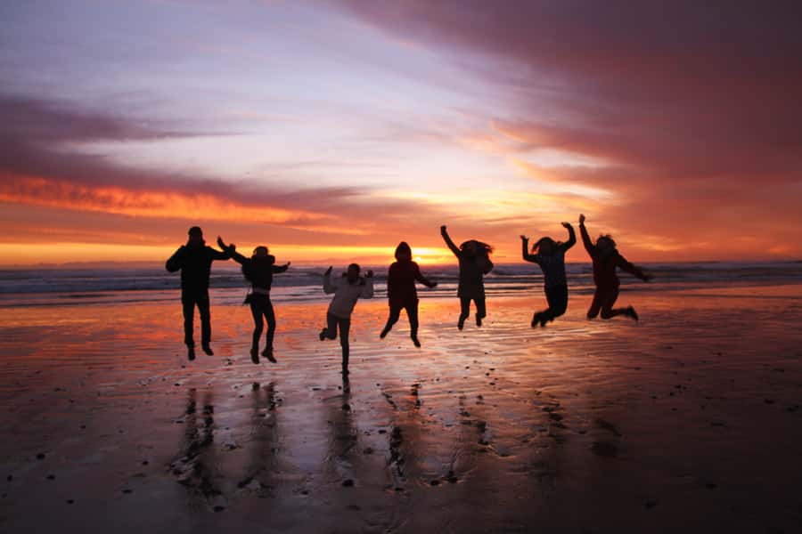 Tasmania: Wilderness and Wildlife Guided 6-Day Tour - How the walks are paced, and who this tour suits best