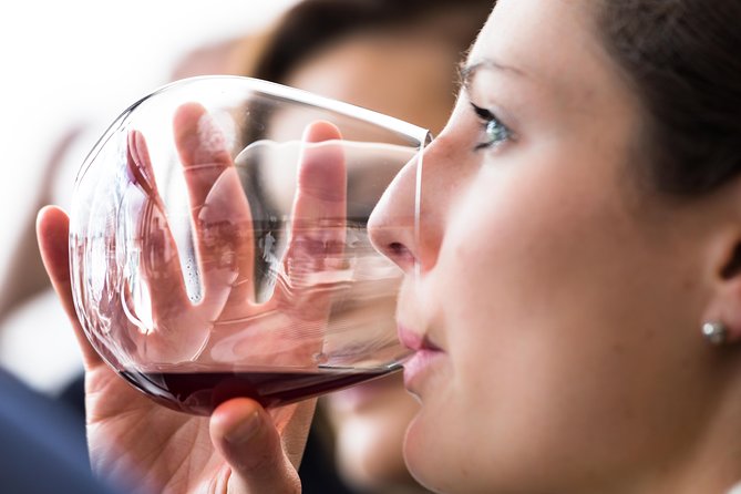 Tasmanian Premium Wine Tour with Tasmanian Cheese Platter - Price and what $207.28 buys you in real terms